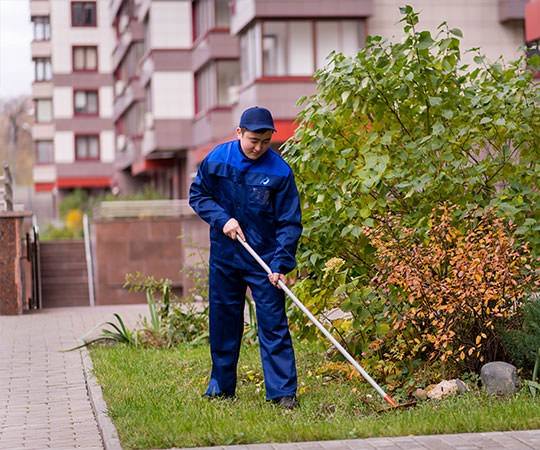Уборка территории в Видном и  Московской области